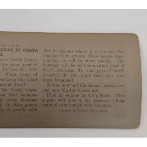 Keystone View card Harvesting Bananas In Costa Rica Photo Card - Picture 7 of 8